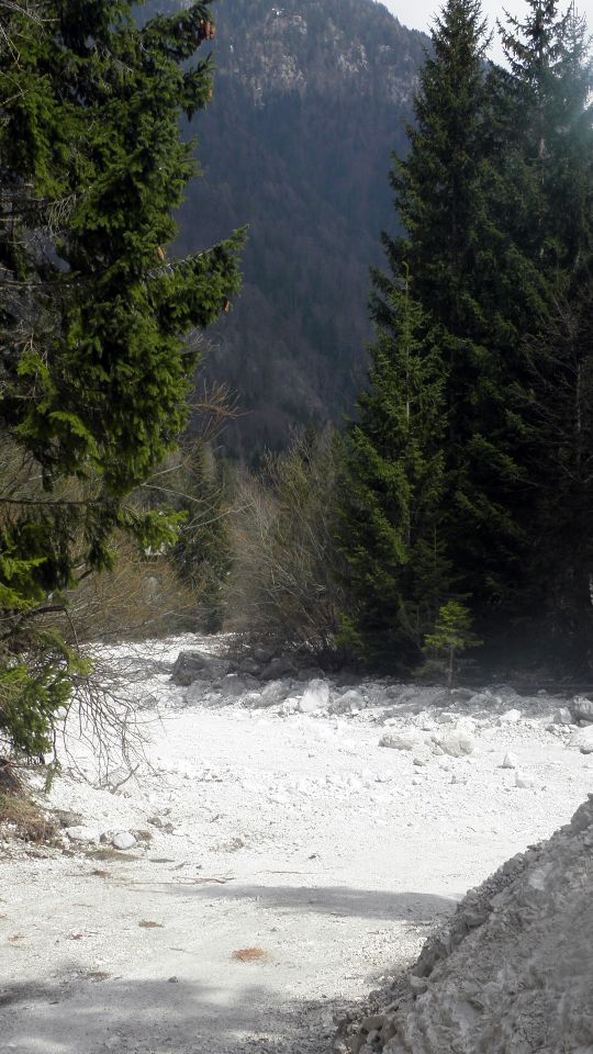 Del Gorenjske, severnoprimorske in Idrijske - foto povečava