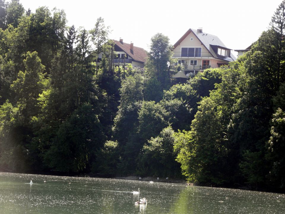 13. junij 2009 - Ljubljana-Zbiljsko jezero - foto povečava