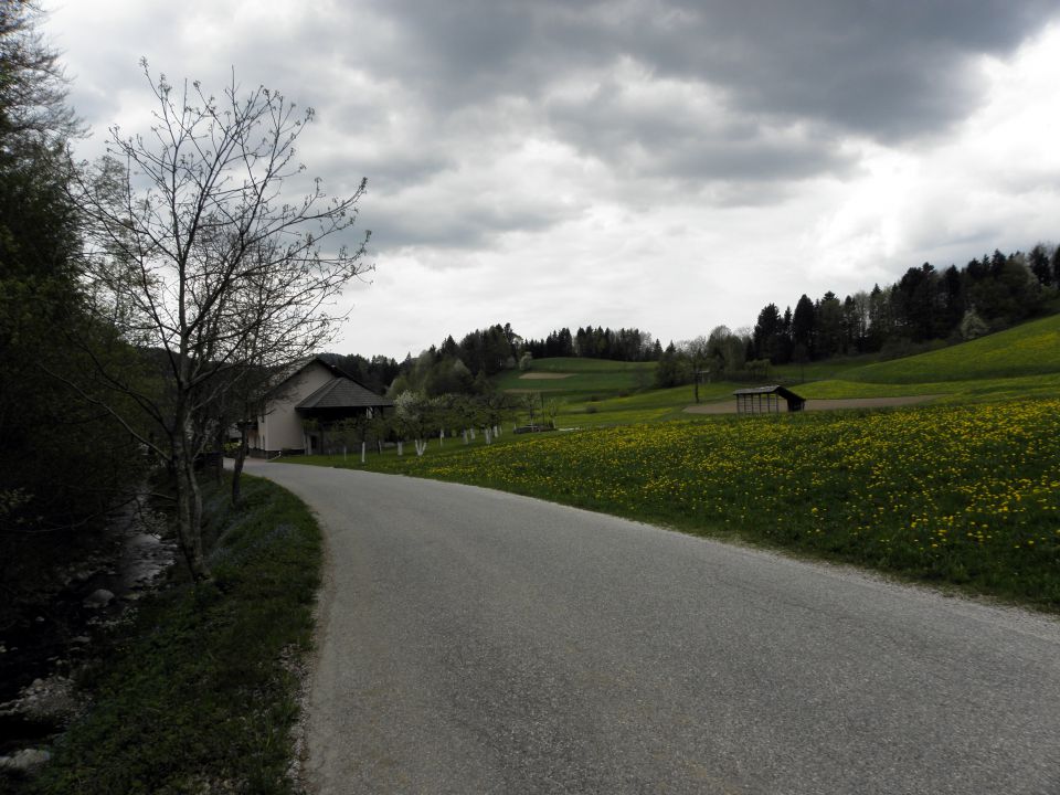 27. april 2010 - Tuhinjska dolina - foto povečava