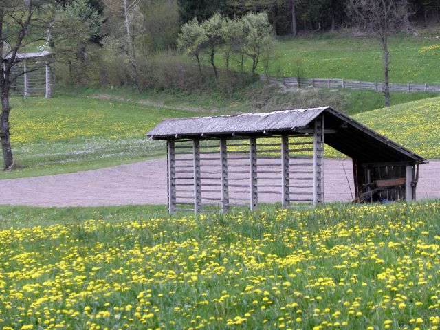 27. april 2010 - Tuhinjska dolina - foto