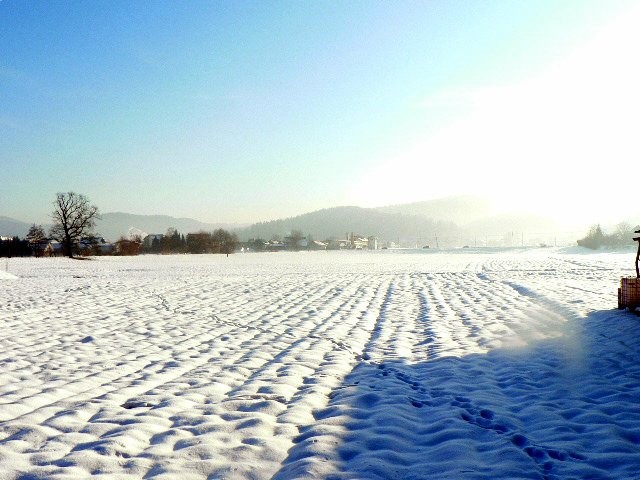 Zimska idila - foto povečava