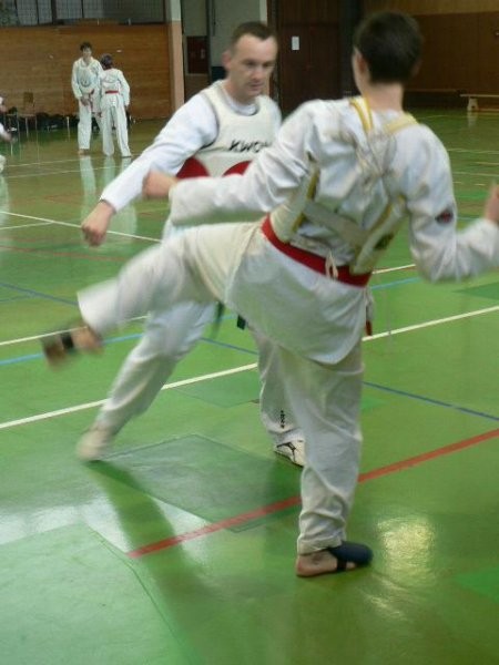 2. taekwondo seminar - Ivančna Gorica - 11. m - foto