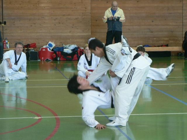 2. taekwondo seminar - Ivančna Gorica - 11. m - foto