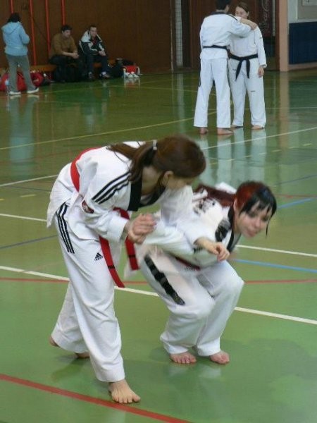 2. taekwondo seminar - Ivančna Gorica - 11. m - foto povečava