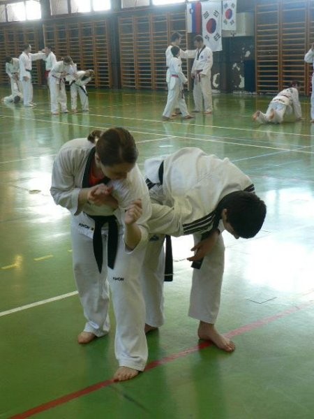 2. taekwondo seminar - Ivančna Gorica - 11. m - foto povečava