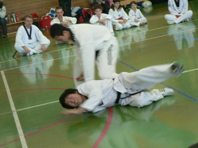 2. taekwondo seminar - Ivančna Gorica - 11. m - foto