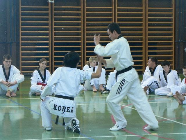 2. taekwondo seminar - Ivančna Gorica - 11. m - foto povečava