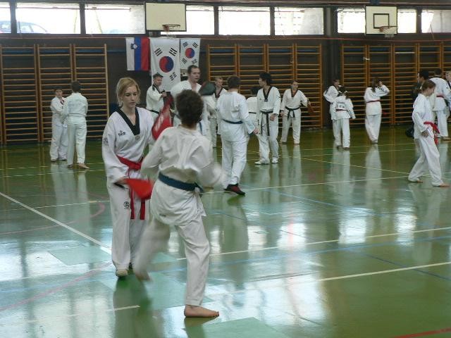 2. taekwondo seminar - Ivančna Gorica - 11. m - foto povečava