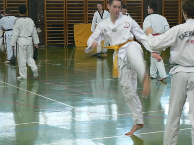 2. taekwondo seminar - Ivančna Gorica - 11. m - foto