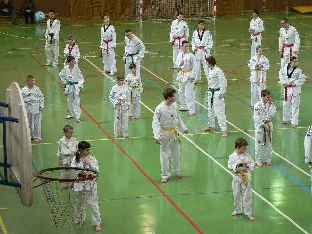 2. taekwondo seminar - Ivančna Gorica - 11. m - foto