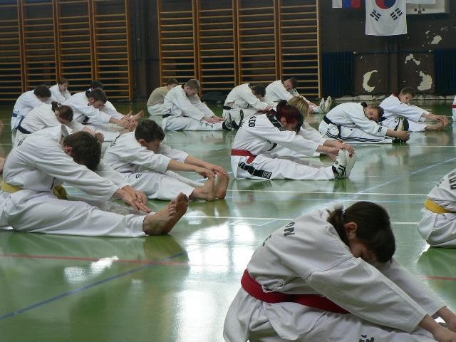 2. taekwondo seminar - Ivančna Gorica - 11. m - foto povečava