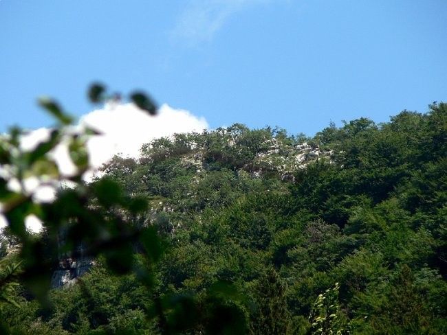 Iški Vintgar - foto povečava