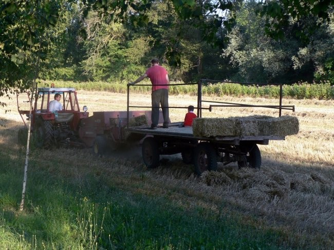 Fužine in bližnja okolica - fotke kar tako - foto povečava