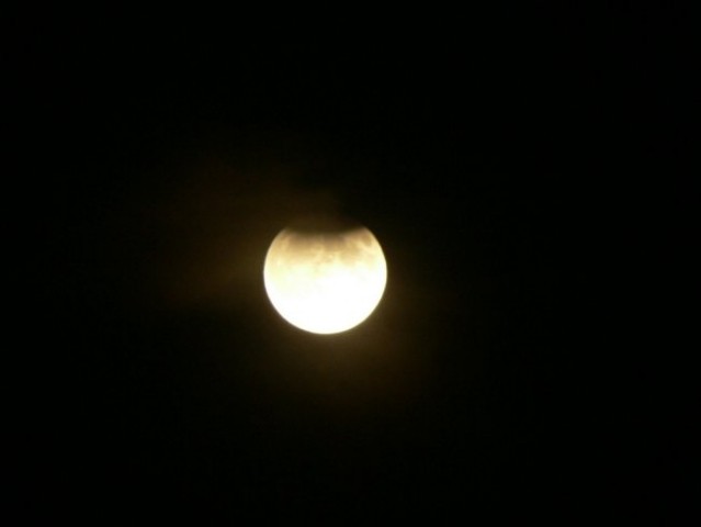 Delni lunin mrk - 7. september 2006 - foto