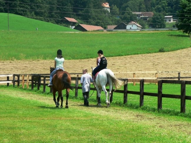 Merkatorijada 2007 - foto povečava