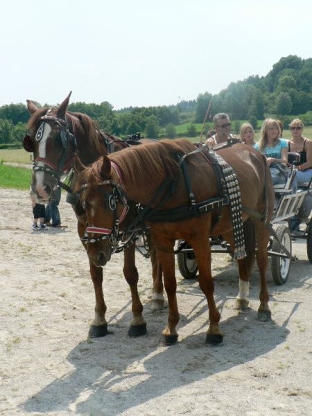 Merkatorijada 2007 - foto povečava