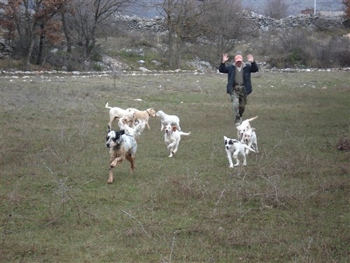 Mili, Bass, Vasko, Max, Tango - foto povečava