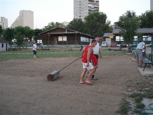 Klub sportskih pasa - foto povečava