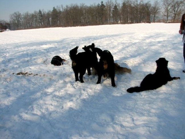 21. januar 2006 - foto povečava