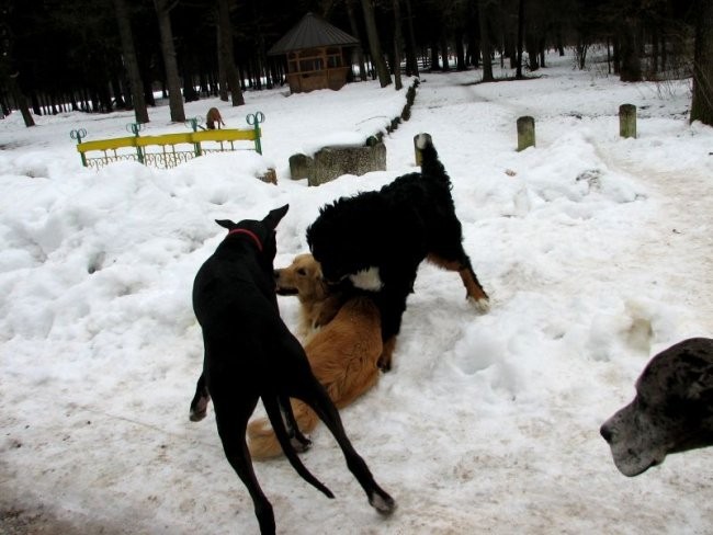 14. januar 2006 - foto povečava