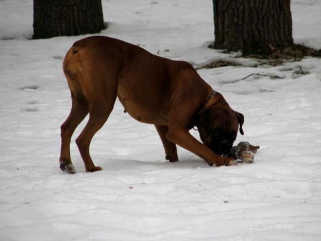 14. januar 2006 - foto povečava