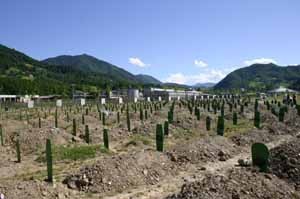 Prve prekopane žrtve v memorialu Srebrenica.