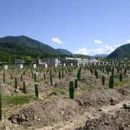 Prve prekopane žrtve v memorialu Srebrenica.