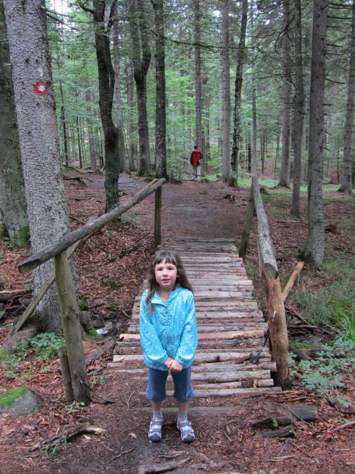 Pohorje - foto povečava