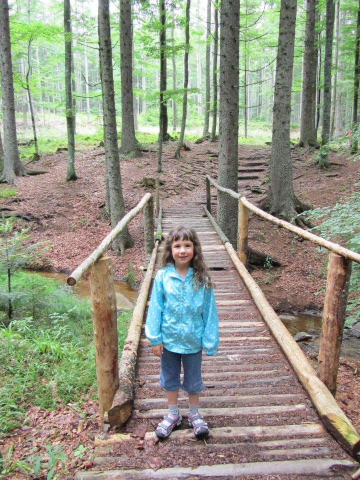 Pohorje - foto povečava