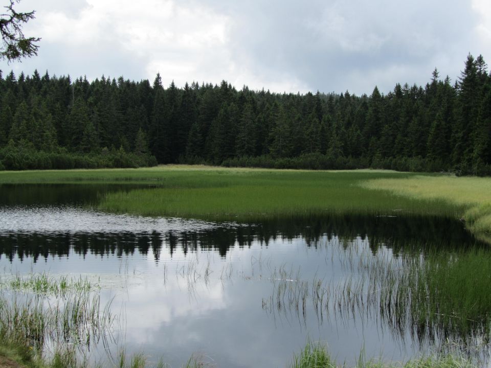 Pohorje - foto povečava