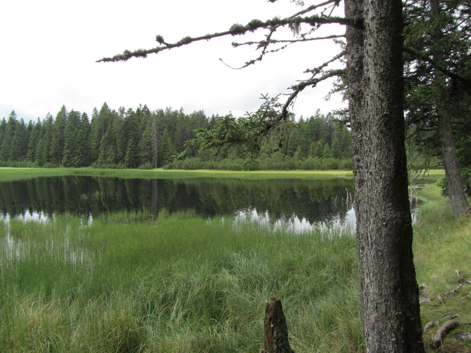 Pohorje - foto povečava