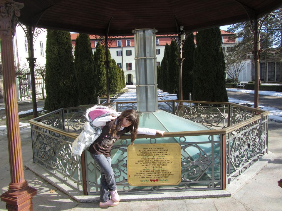 Orhideje - foto povečava