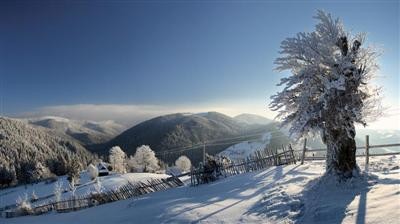 Božič,novo leto***** - foto povečava