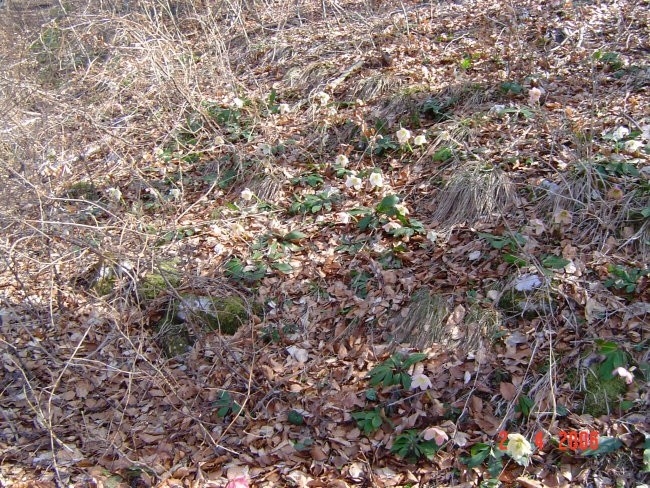 Nekaj različnih s potepanj ,drugje - foto povečava