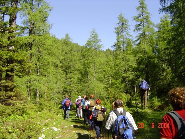 Nekaj različnih s potepanj ,drugje - foto povečava