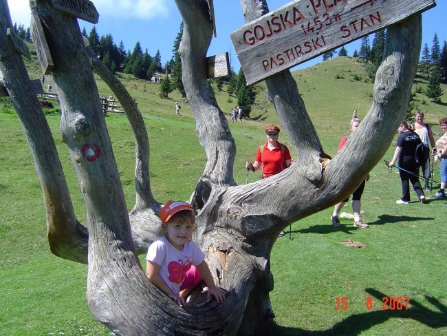 Velika planina - foto povečava