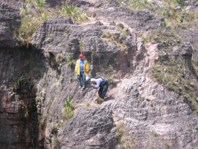 Roraima - foto