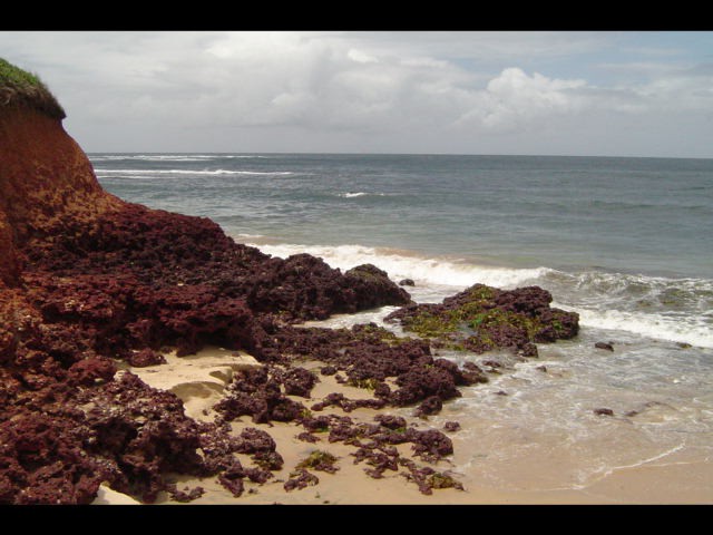 LONG REEF - foto