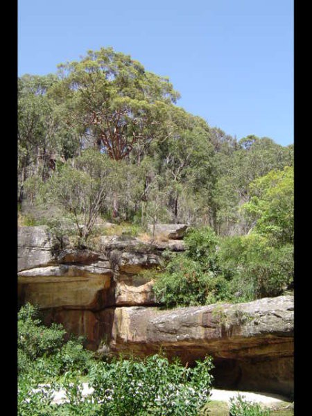 PITTWATER RESERVE - foto