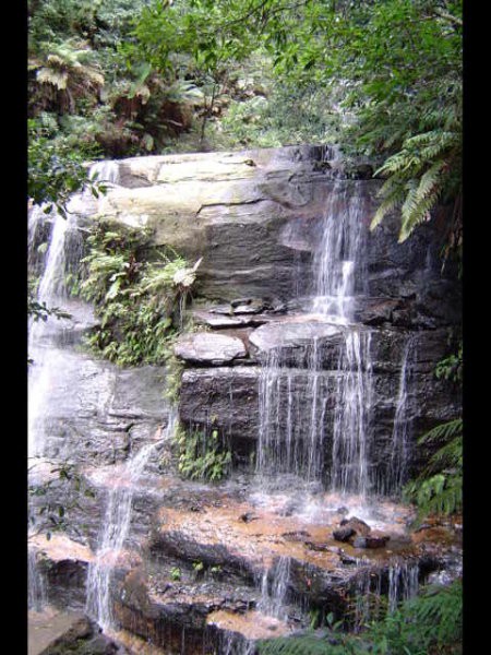 BLUE MOUNTAINS - Wentworth Falls - foto povečava