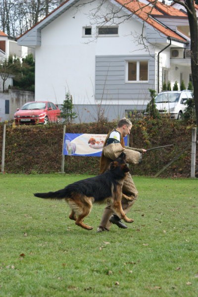 Vir: http://www.kin-drustvo-lj.si/