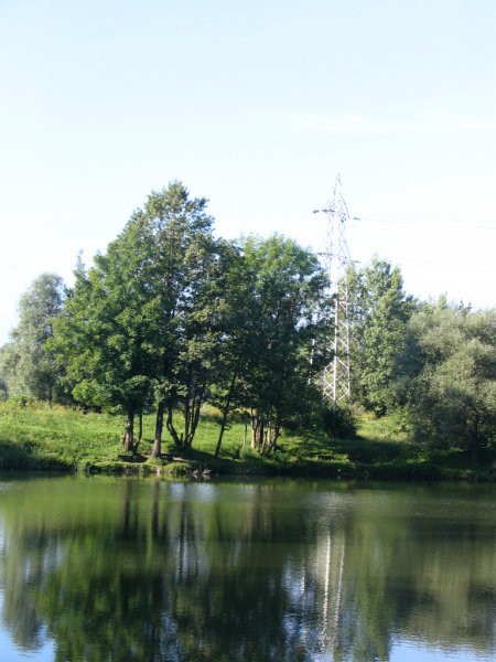 Fotke Žiga - foto povečava