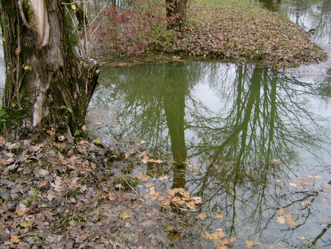 Fotke Lupo - foto povečava