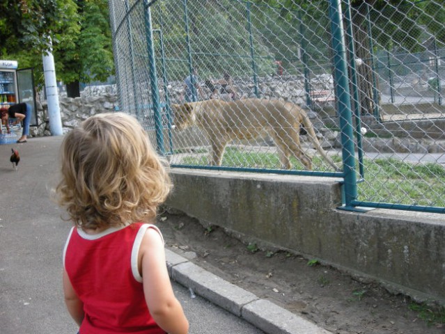 V živalskem vrtu