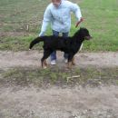 poza2