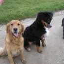 Rondo&Rina&Murka