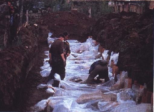 Zločini i Srebrenica - foto