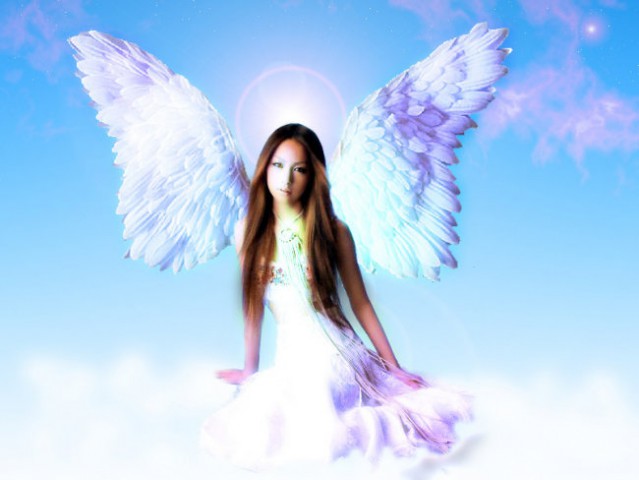 The angel pictures - foto
