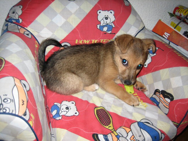 to moje!!!