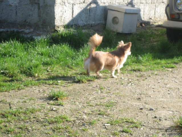 Winnie in Brina - foto